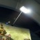 LED-Lampe Wall LED-Lampe Wall